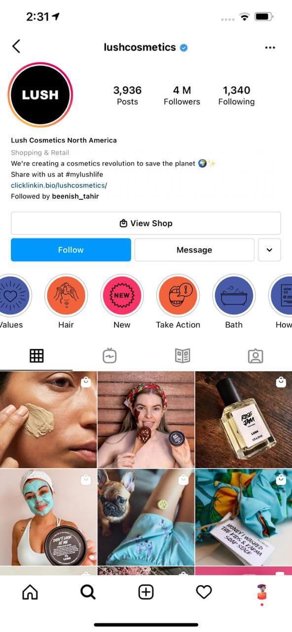 lush cosmetics instagram highlight covers