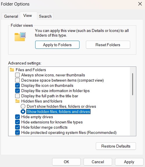 show hidden files file explorer options