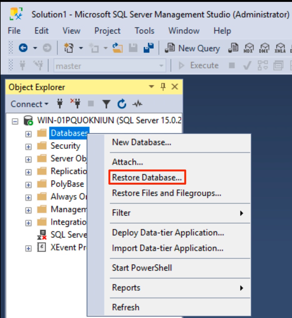 ms sql restore database