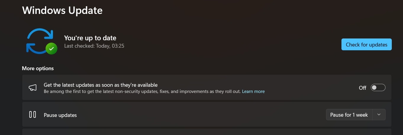 check for windows 11 update