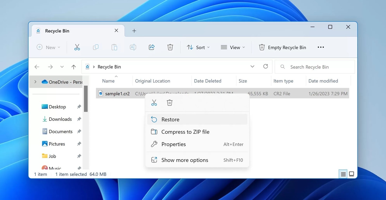recover cr2 files from recycle bin