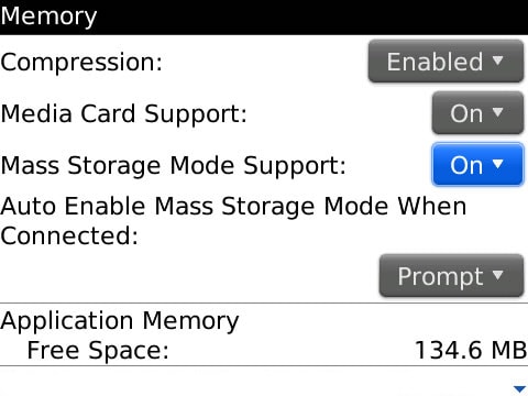 enable mass storage