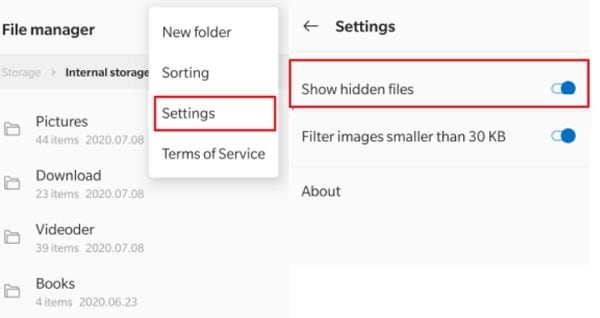 show hidden files