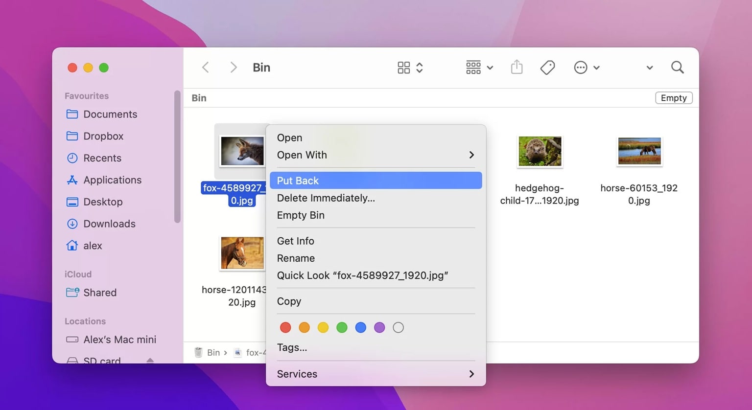 restore from mac trash bin