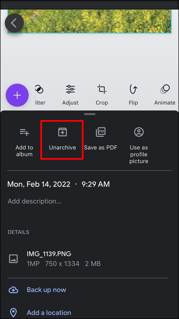 restore videos from archive folder