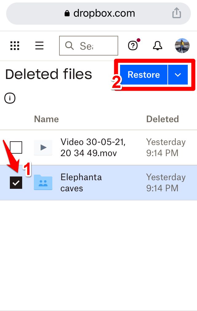 restore from dropbox account