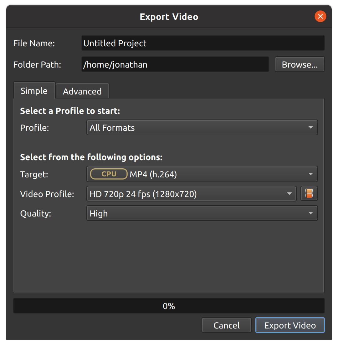 check video output format using export