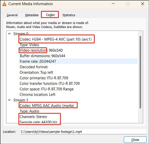 check codec information