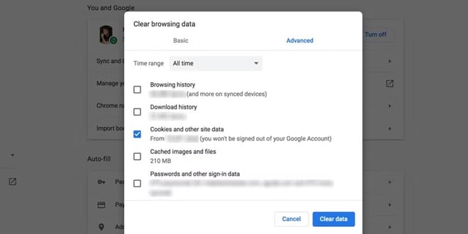 clear browser cache cookies