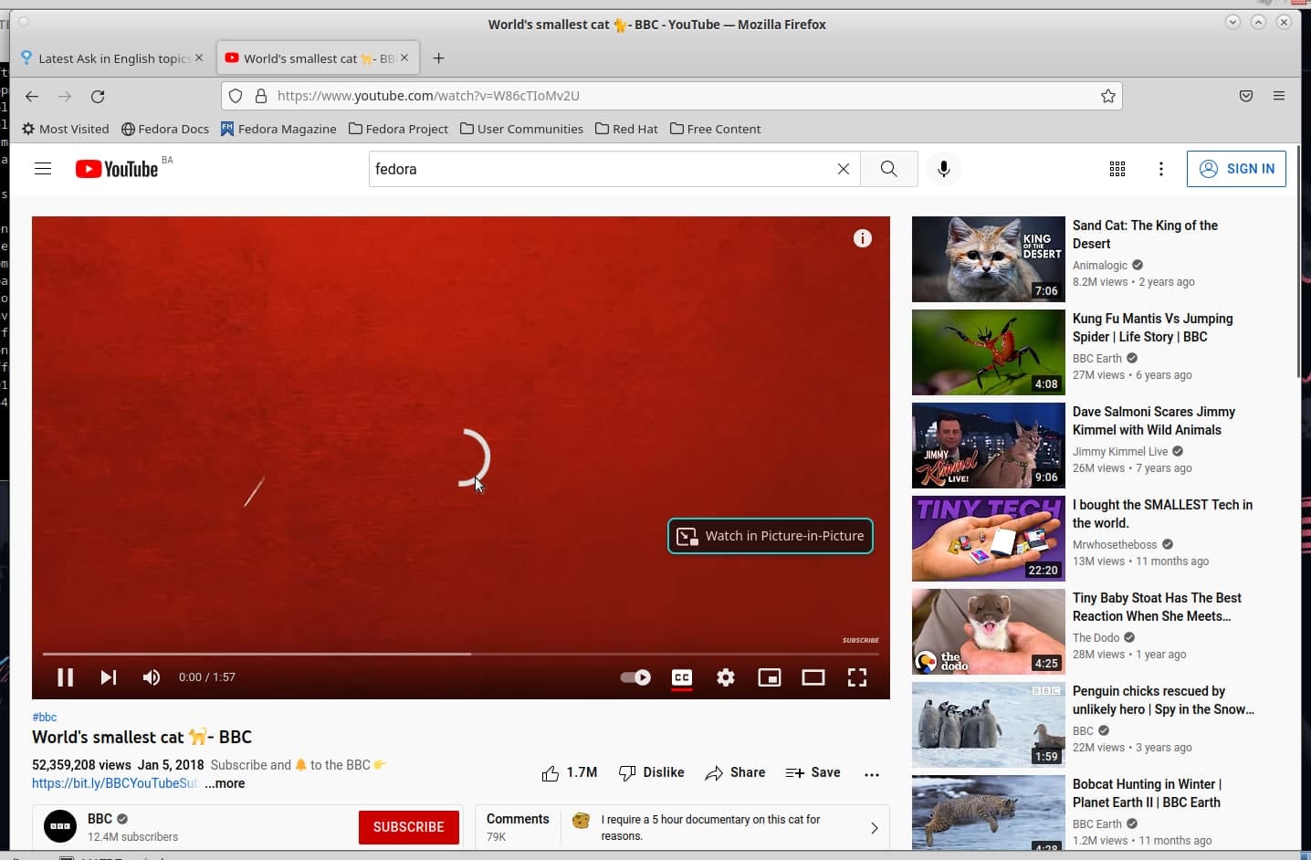 use another browser to play youtube video
