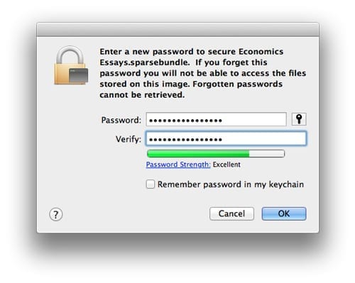 enter password apfs bundle