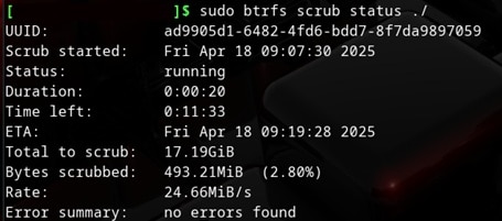 run sudo command scrub status