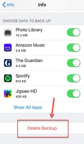 icloud delete backup