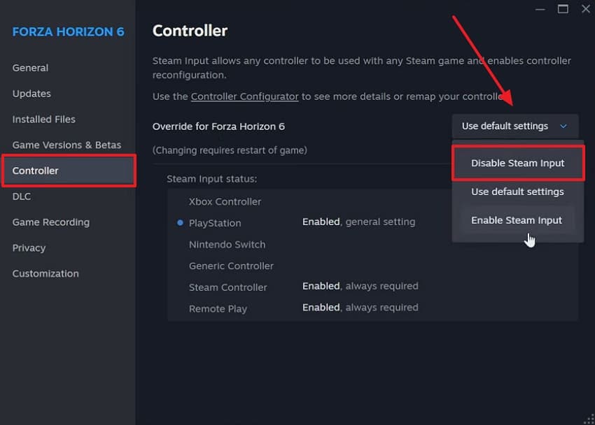 disable steam input