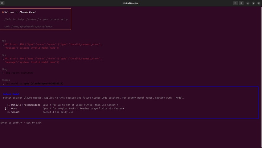 verify model name in claude