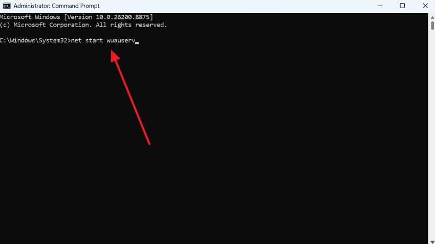 execute net start wuauserv