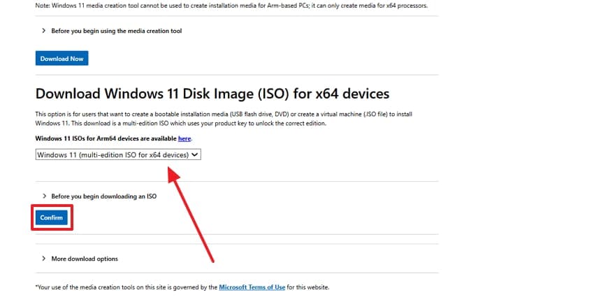 access windows 11 iso file