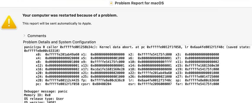 review kernel panic report details