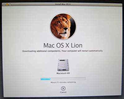 Internetwiederherstellung verwenden, um Ihren MAC neu zu installieren