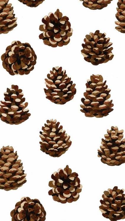 rustic pine cones