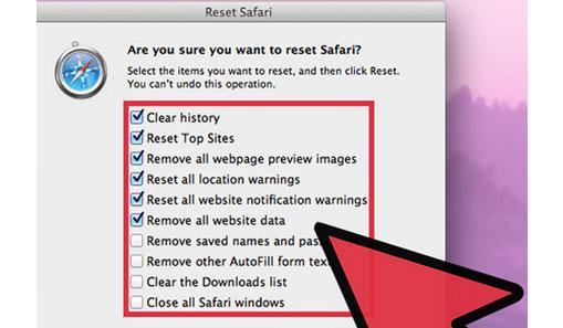 clear Safari browsing history