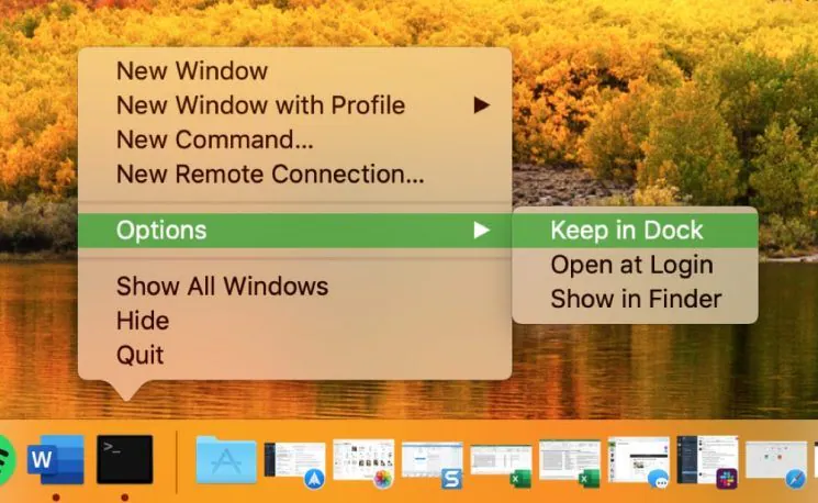 create-shortcut-keep-terminal-in-dock
