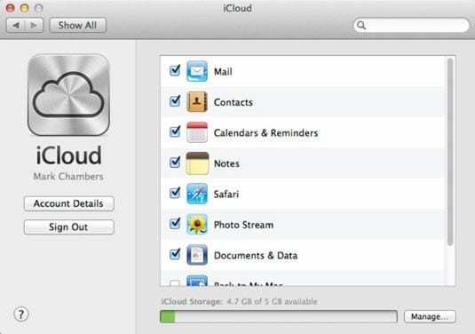 iCloud backup options