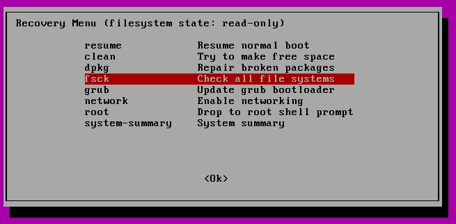 Select fsck option