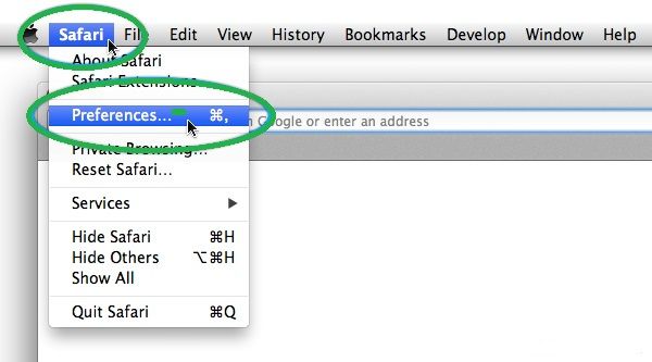 preferences on safari