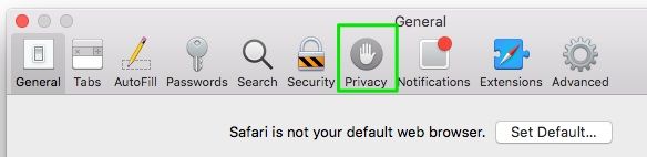 privacy tab on safari