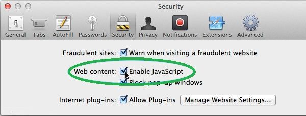 enable javascript on safari