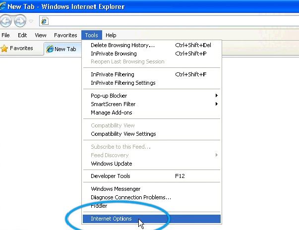 how to play mp4 on mac from internet explorer