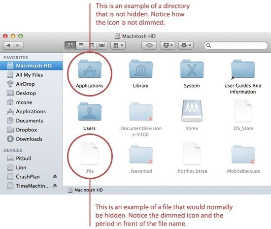 رؤية الملفات المخفية على نظام Mac