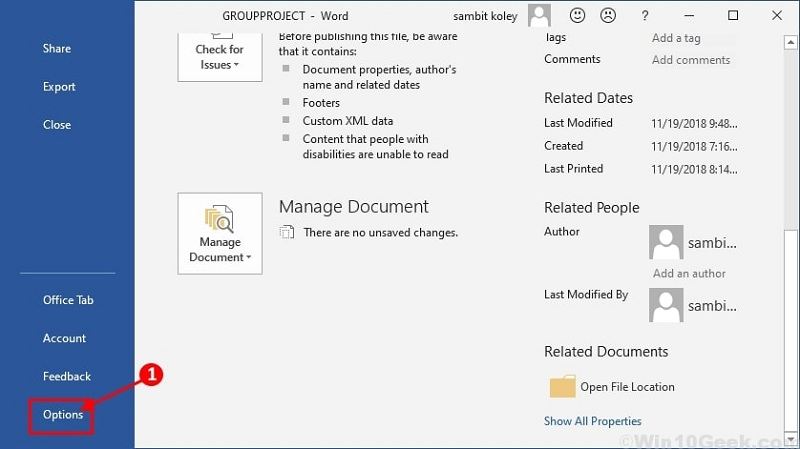 word file options