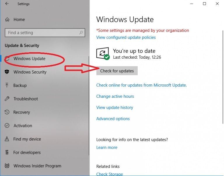 更新 Windows 照片查看器