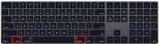 hold and press command and option keys together