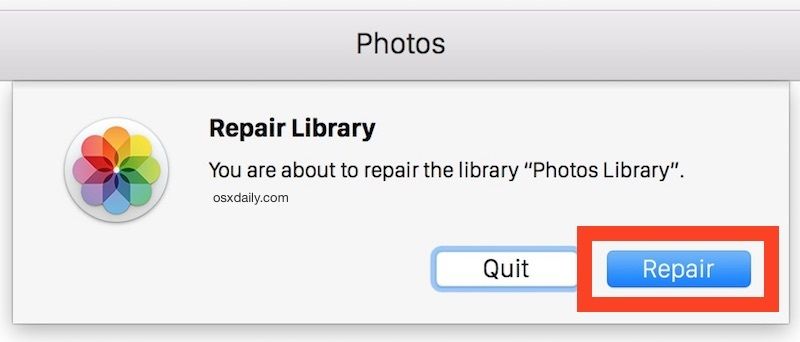 repair in the photo repair process