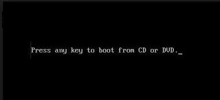 Press any key to start the boot from the Setup Disc.