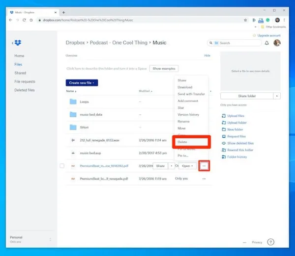 pulsa en eliminar para borrar el archivo del sitio web de Dropbox