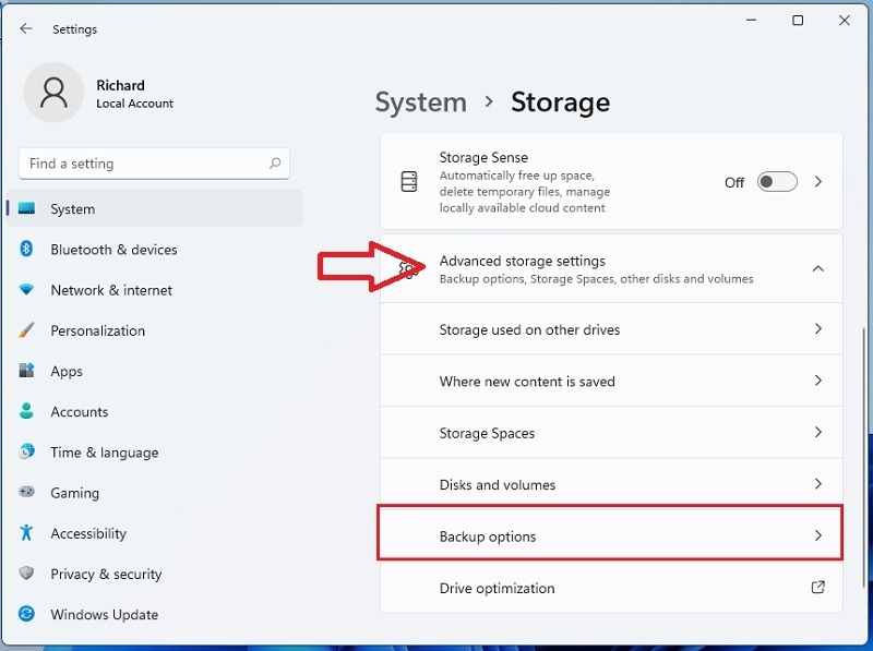 advanced storage backup options