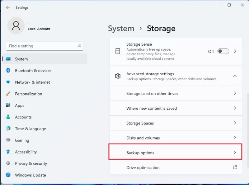 Storage backup option