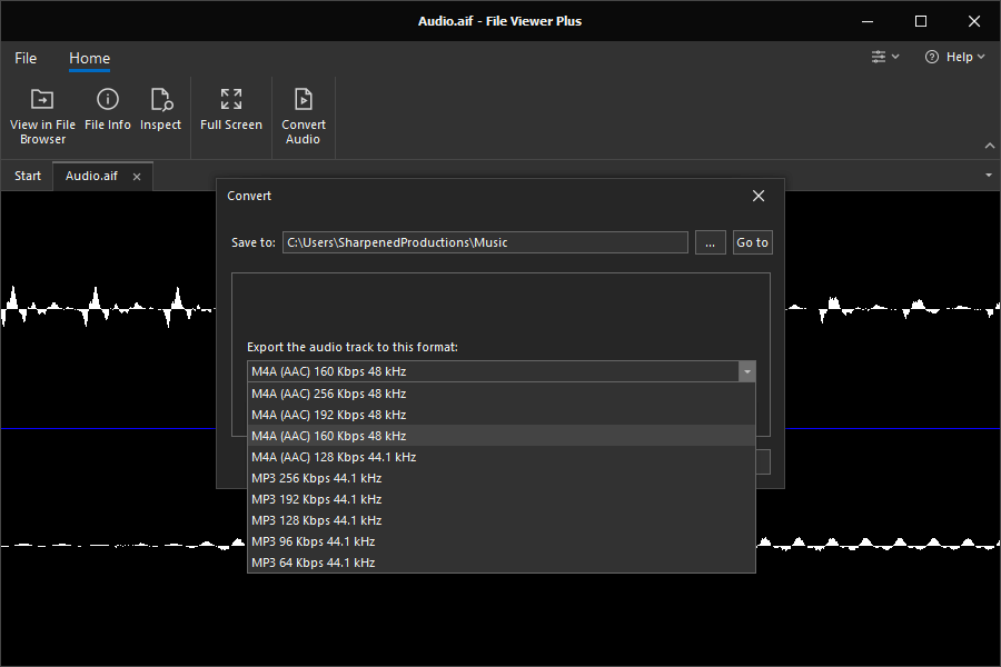 file viewer plus interface while opening audio files