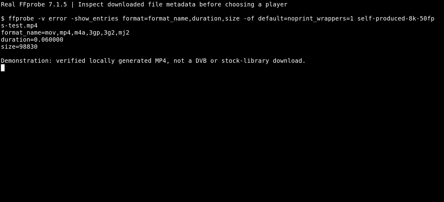 ffprobe displaying real mp4 container duration and file size for a local test video