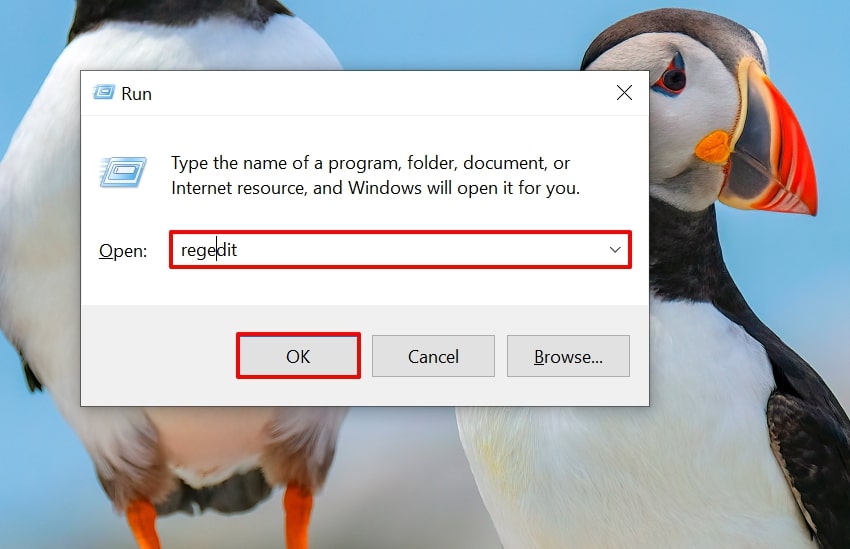 enter regedit command