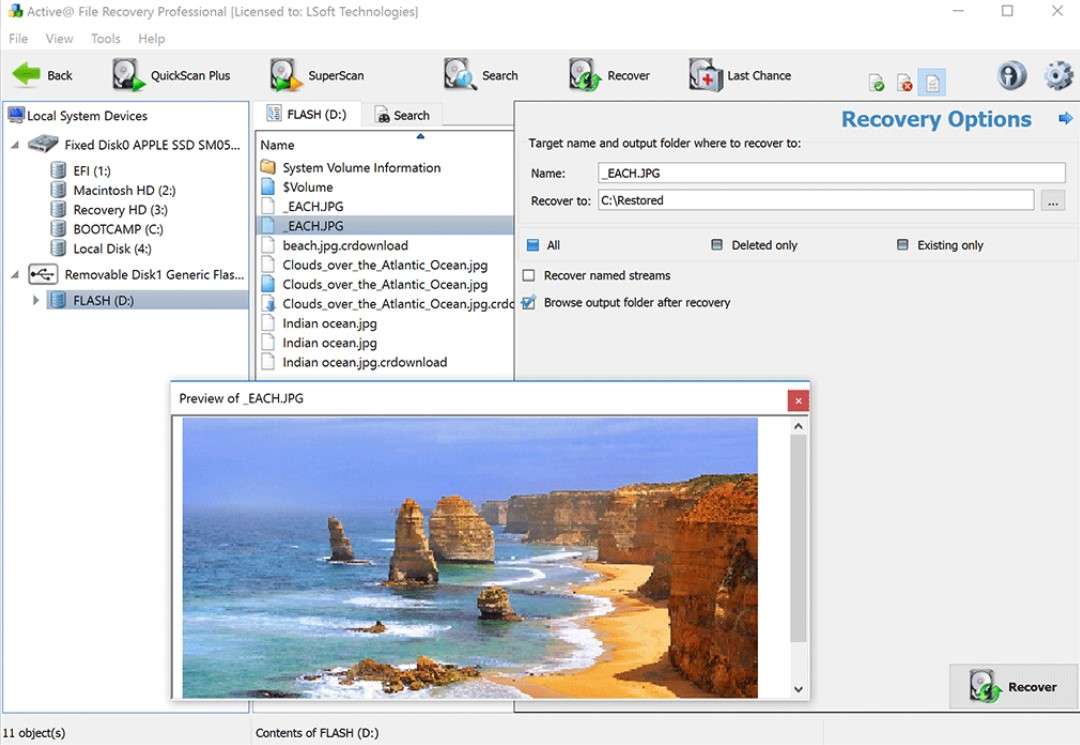active file recovery features and options