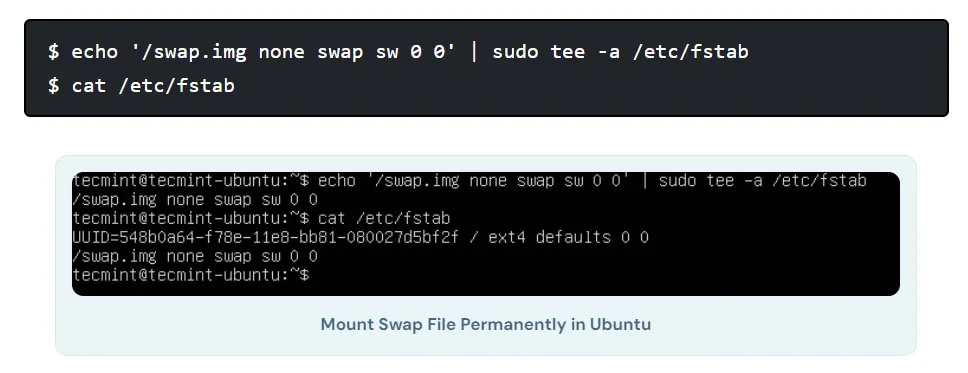 mount the swap file