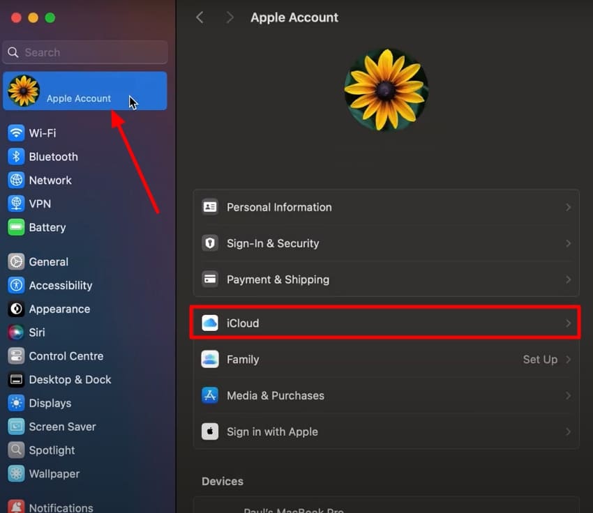 access macbook icloud settings
