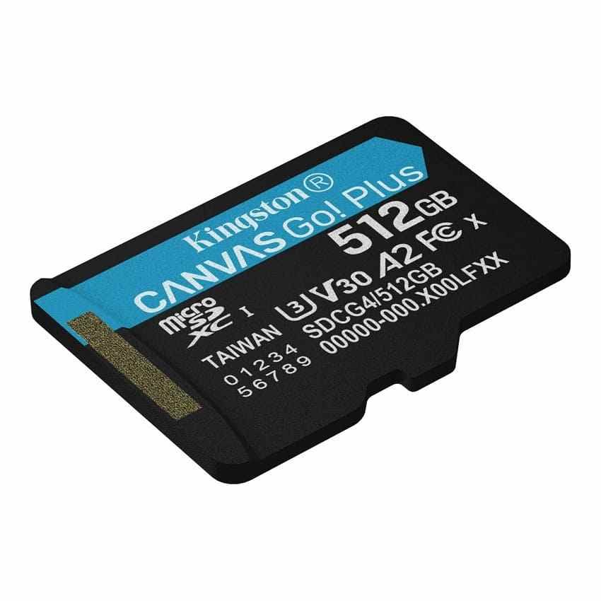 kingston canvas go plus card