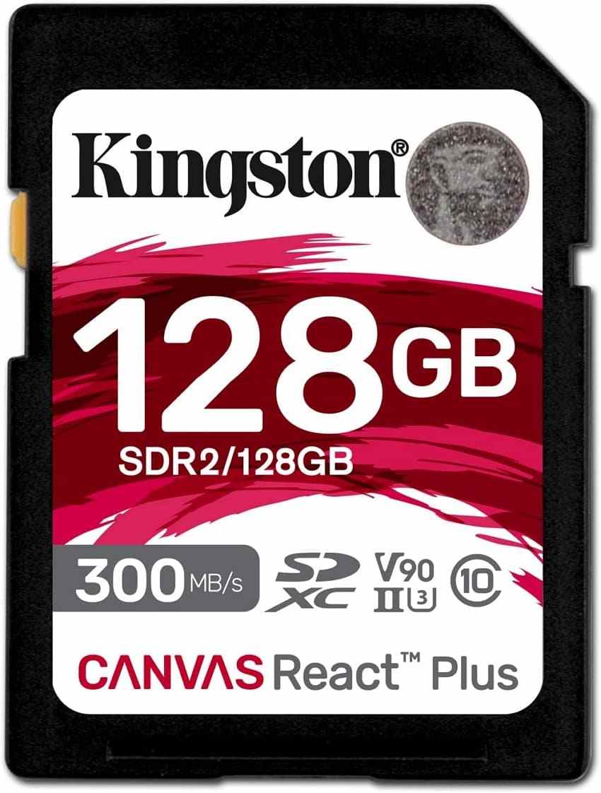 kingston canvas react plus