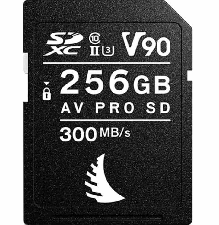 best sd cards for cameras angelbird